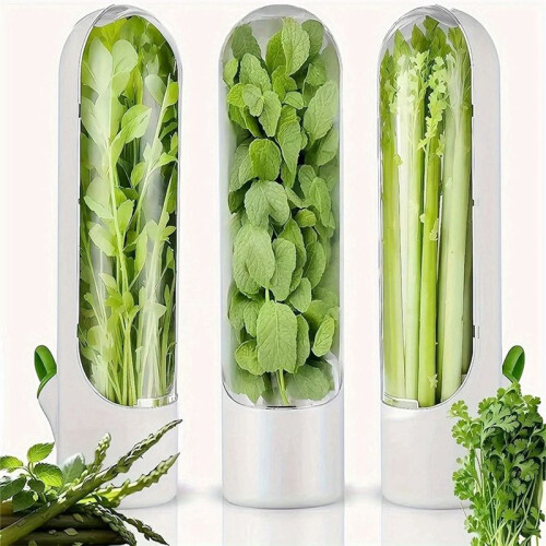 3pcs Vegetable Storage Containers Herb Freshness Cups Kitchen Organizer and Storage Box 2
