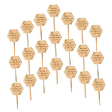 40pcs Wooden Plant Labels for Garden and Potted Plants Natural Wood Tags for Herbs Flowers Seedlings