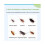 Cockroach Gel Bait Roach Control, Pest Killer with Plunger Tip for Floor Kitchen(1pcs) 2