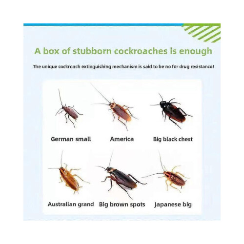 Cockroach Gel Bait Roach Control, Pest Killer with Plunger Tip for Floor Kitchen(1pcs) 1