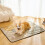 Reusable Pee Pad for Dogs Waterproof Resistant 50x60cm 3