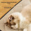 Reusable Pee Pad for Dogs Waterproof Resistant 50x60cm 5