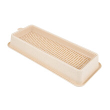 Kasten Planting Box for Cat Grass Hydroponic Cat Grass Cat Feathers Catnip Spray