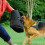 Dog Training Bite Sleeve Protective Case for Pet Training Arms 45 cm x 25 cm 5