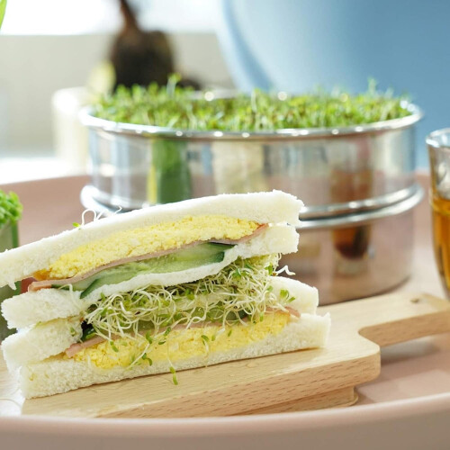 Sprouting Tray Microgreens Growing Kit Soil Stackable Design with Mesh Drainage System 1