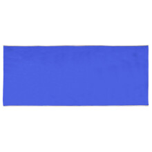 Nylon Slide Sheet Reusable Patient Transfer Sheet-75x180 Blue