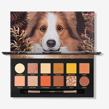Lidschattenpalette mit professionellem Make-up, hochpigmentierten Farben für unvergleichliche Leuchtkraft, langanhaltendem Halt, der den ganzen Tag