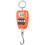 200kg Digital Hanging Scale Heavy Duty ABS Hook Design LCD Display Commercial Use  Precision 1