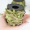 Leaf Pattern Hemp Rope 10m5mm Multicolor Soft and Strong Cuttable Craft Rope 3
