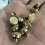 Brass Misting Nozzle Plug ,Thread Misting Nozzle Plug for Raised Garden Bed Backyard Outdoor Cooling System 12Pcs 4