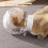 Cat Transparent Muzzle Breathable Cat Helmets For Bathing, 16cm, Adjustable Hood, Anti Bite Kitten Muzzle Cover 3
