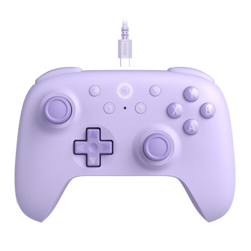 8BitDo Manette de Jeu Filaire avec Joystick à Effet Hall pour PC Windows 10/11  pour Raspberry Pi Android Accessoires de Jeu D