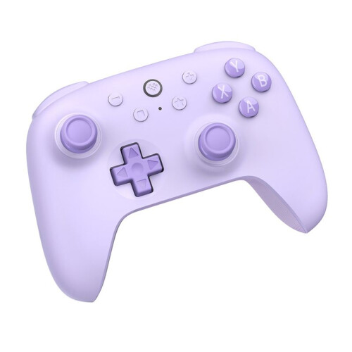 8BitDo Manette de Jeu Filaire avec Joystick à Effet Hall pour PC Windows 10/11  pour Raspberry Pi Android Accessoires de Jeu D 1