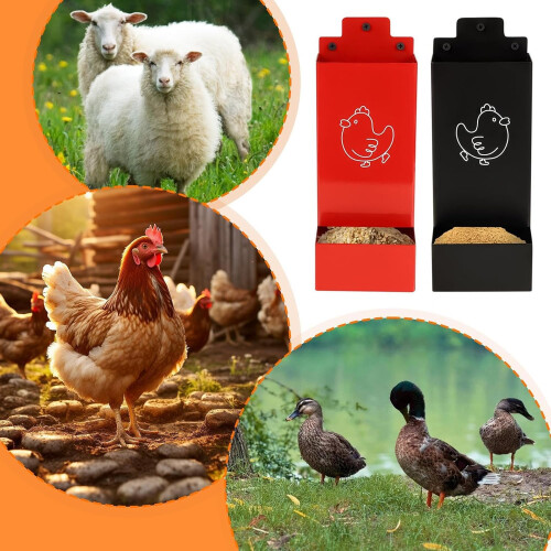 Automatic Chicken Feeder with Separate Compartments, RustResistant WallMounted Poultry Dispenser 2