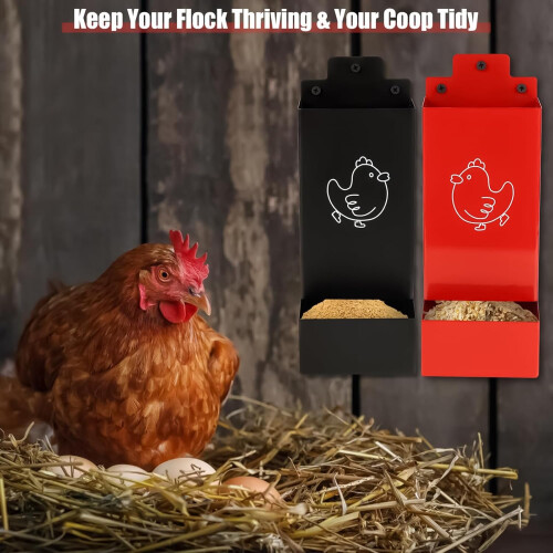 Automatic Chicken Feeder with Separate Compartments, RustResistant WallMounted Poultry Dispenser 1