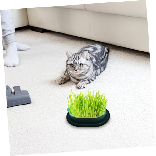 Cat Grass Hydroponic Planter 3Pack Sprouting Tray For Indoor Cats Easy Growth Efficient Water Control YearRound Grass 2