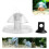 Attrape-escargot transparent, accessoire d'aquarium, outil 1