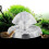 Attrape-escargot transparent, accessoire d'aquarium, outil 7