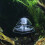 Attrape-escargot transparent, accessoire d'aquarium, outil 5