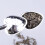 Heart Shape Stainless Steel Loose Leaf Tea Infuser Spoon-Silver 5