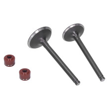 Engine Valve Kit for YINXIANG 140cc PIT PRO ATV Dirt Bike Quad