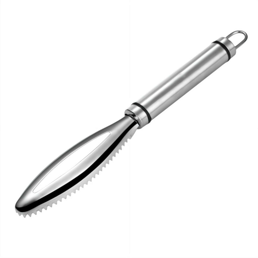 Fish Scale Remover Stainless Steel Scraper Knife With Comfort Handle (1 Piece) 9187378832974