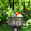 Bicycle Front Basket, Adjustable Installation, Rustproof and Wear-resistant Sealed Front/Back Basket 4