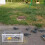 Trampa automática para pájaros, jaula para pájaros, solo entrada, sin salida, engrosada, encriptada, automática, para palomas 7
