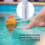 Goldfish Floating Pool Thermometer: Accurate Durable Fun Water Gauge 3