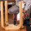 Cordless Combi Drill 12/18/36V With 2 Batteries, 10Mm Chuck, Variable Speed, 251 Torque Settings With LED Indicator 4