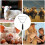 Antikick bar for cattle, sheep  Nonslip tool with ergonomic grip 3