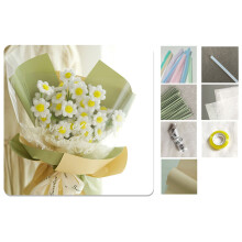 Pfeifenreiniger-Blumenset für-Kleine Gänseblümchen