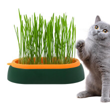 Cat Grass Planter Seed Sprouting Tray Hydroponic Cat Grass Cup For Indoor Or Outdoor Cats And Dogs And Other Pets Green