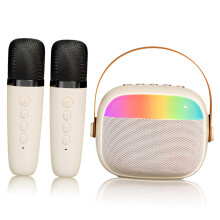 Portable Karaoke Machine with Lights and Wireless Microphones for Young Girls and Adults, for Home Parties and Singing Sessions