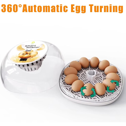 12 Egg Incubator With Automatic Turner Humidity Control Auto Water Adding For Chicken Duck Quail Bird Eggs 2
