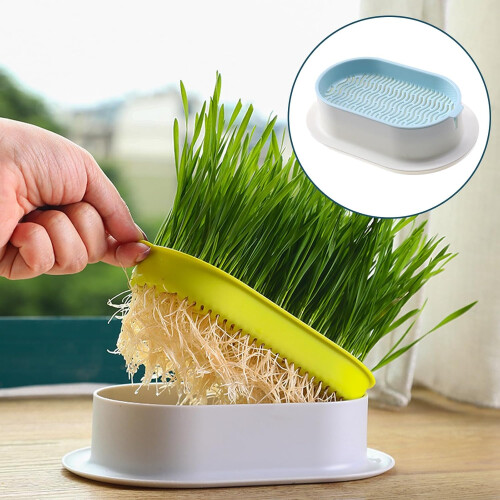 2pcs Hydroponic Germination Trays for Fast Soil Sprouting Indoor Windowsill or Classroom 2