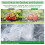 2pcs Garden Netting for Raised Beds,Rectangular Mesh Plant Covers with Drawstring for Garden Protection 6
