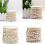 Imitation Pearls Bead Chain Artificial Pearls String Bead-AA094 3