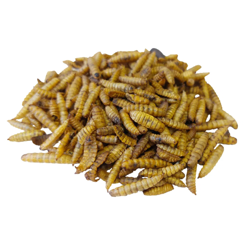 Copdock Mill Calci Boost Grubs Tubs 5 Litre 1