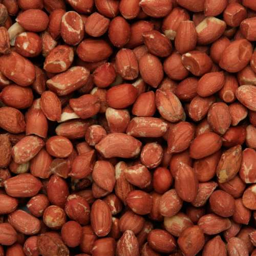 Copdock Mill Peanut Kernels 12.75kg 1