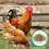 Copdock Mill Range Layers Pellets Carry Home Pack 5kg 5