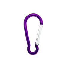 2PCS Purple Aluminum Alloy Carabiner Spring Hook for Keys Camping