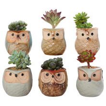 Succulent Plant Pot Ceramic Owl Style 6Pack Indoor Outdoor Use Flower Pot For Cacti And Succulents Plant Holder