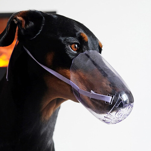 Cat muzzle for grooming antibite kittens, transparent muzzle, breathable PET face mask, safety muzzle for nail trimming, medium size. 1