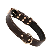 Collar for pets, training collar, large pet collars, traditional collar