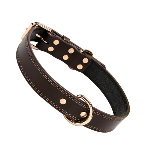 Collar for pets, training collar, large pet collars, traditional collar