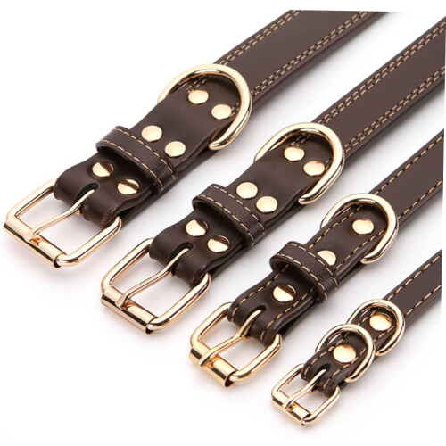 Collar for pets, training collar, large pet collars, traditional collar 1
