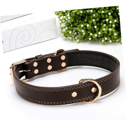 Collar for pets, training collar, large pet collars, traditional collar 2