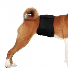 Pet Physiological Strap Male Dog Special Courtesy Strap Dog Physiological Strap Male Dog Courteous P