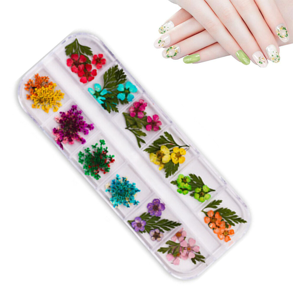 Floral Fantasy, Dried Flowers For Nail Art, Natural Real Flower Decals, Easy To Use, Vibrant Colors, Value Set, Creative Uses For Halloween Parties